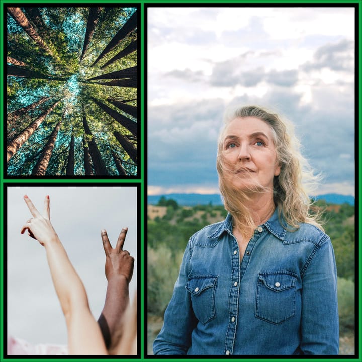 Three-panel collage: treetops seen from below, two hands making peace signs, and a woman in denim gazing upward on a hillside