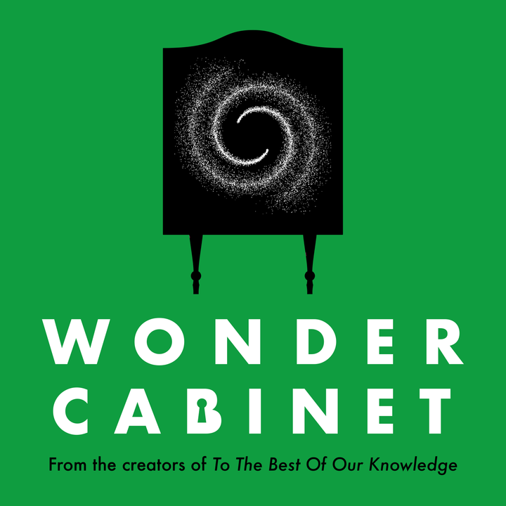 Wonder Cabinet