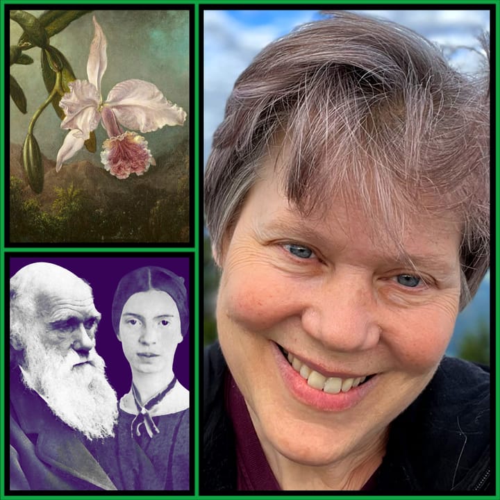 Three-panel collage: painted orchid on dark background, black-and-white portraits of Charles Darwin and Emily Dickinson on purple, and Renee Bergland smiling outdoors